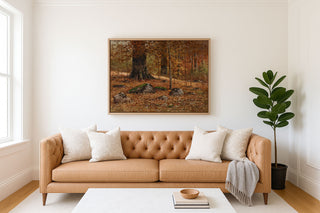 Monarch Beech
