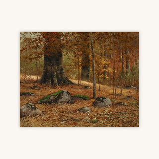 MONARCH BEECH — Primary Image