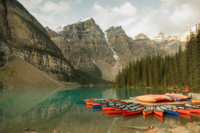 Morning at Moraine