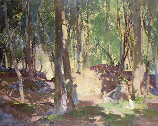 MORNING IN THE WOODS