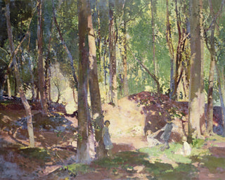 Morning in the Woods