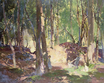 Morning in the Woods