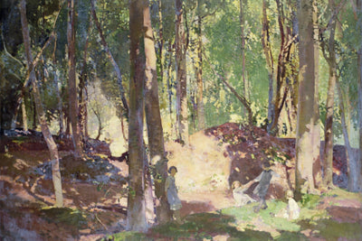 Morning in the Woods