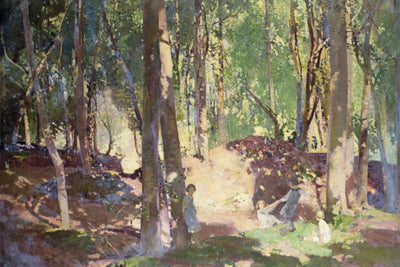 MORNING IN THE WOODS