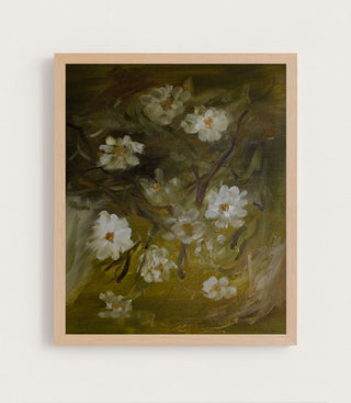 Moss Roses
