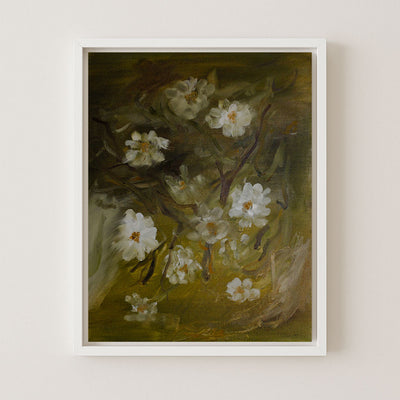 Moss Roses