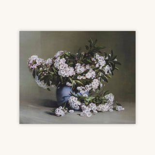 MOUNTAIN LAUREL — Primary Image