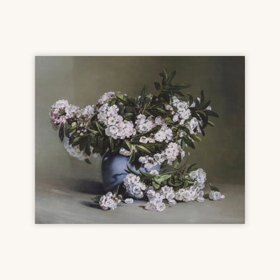 MOUNTAIN LAUREL — Primary Image