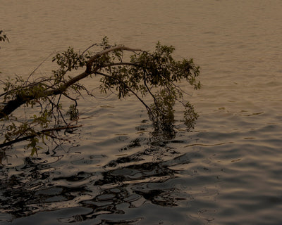 Moving Waters
