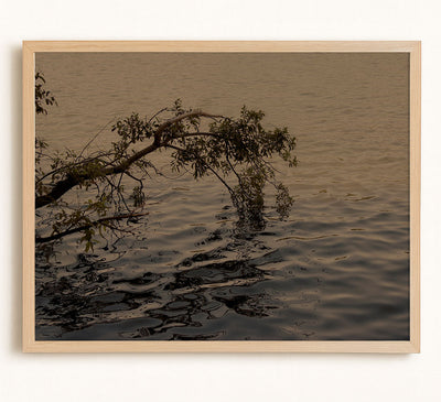 Moving Waters