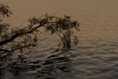 Moving Waters