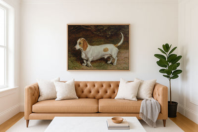 MY FAVOURITE DACHSHUND