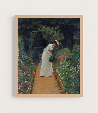 My Lady's Garden