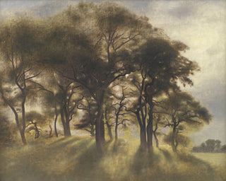 NEAR FORTUNEN NORTH DEER PARK - Museum Quality Art