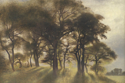 NEAR FORTUNEN NORTH DEER PARK - Museum Quality Art