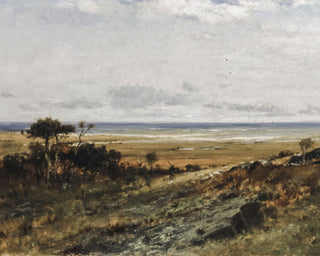 NEAR THE COAST