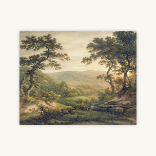 NEEDLEWOOD FOREST, HAMPSHIRE — Primary Image