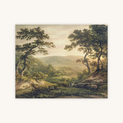 NEEDLEWOOD FOREST, HAMPSHIRE — Primary Image