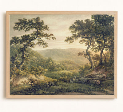 Needlewood Forest, Hampshire