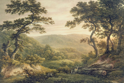 NEEDLEWOOD FOREST, HAMPSHIRE