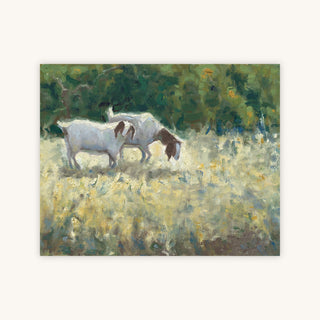 NEW PASTURES — Primary Image