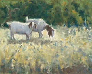 NEW PASTURES