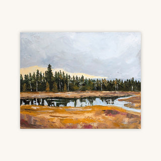 NEW TRAILS — Primary Image