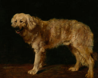 NEWFOUNDLAND art print - Museum Quality Art