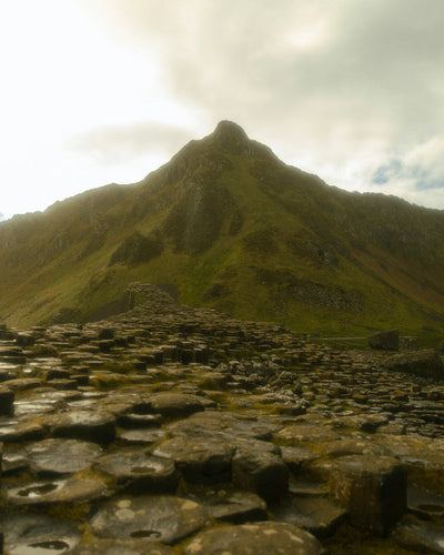 Northern Terrain