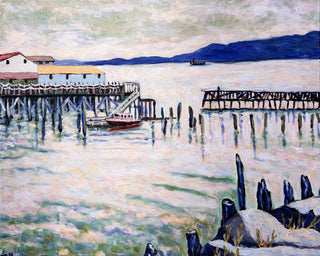 NORTHWEST COASTAL VIEW