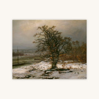 OAK TREE BY THE ELBE IN WINTER — Primary Image