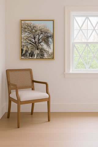 Oak Tree II
