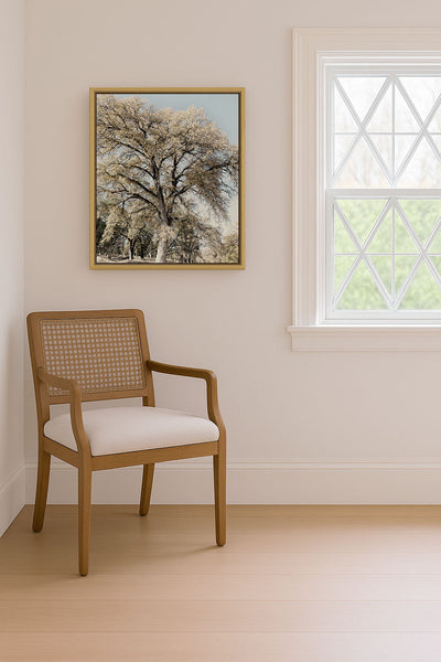 Oak Tree II