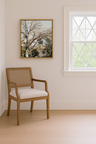 Oak Tree I