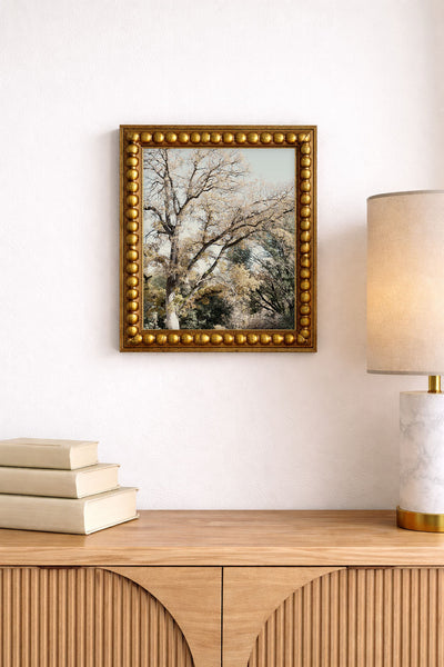 Oak Tree I