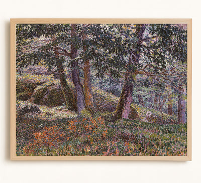 Oaks and Blueberry Bushes