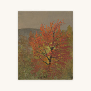 OCTOBER — Primary Image