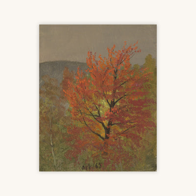 OCTOBER — Primary Image