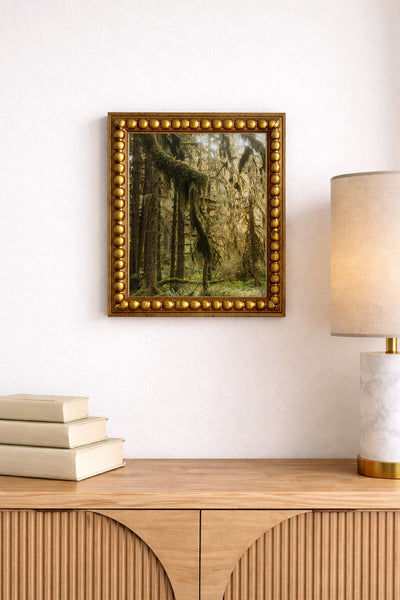 Old Growth