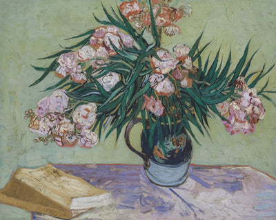 OLEANDERS