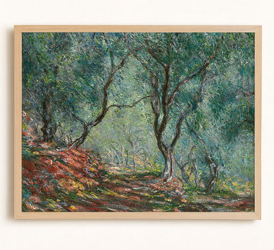Olive Trees in the Moreno Garden