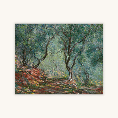 OLIVE TREES IN THE MORENO GARDEN — Primary Image