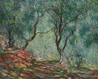 OLIVE TREES IN THE MORENO GARDEN