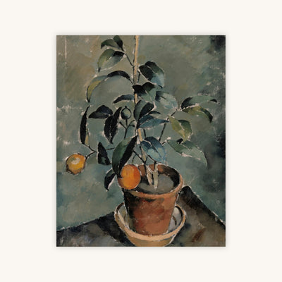 ORANGE PLANT — Primary Image