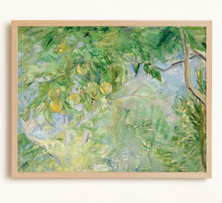Orange Tree Branches