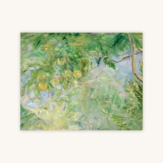 ORANGE TREE BRANCHES — Primary Image
