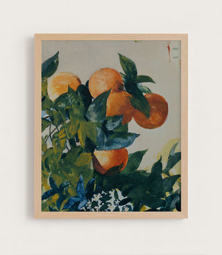 Oranges on a Branch