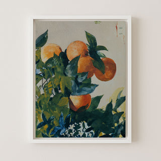 Oranges on a Branch