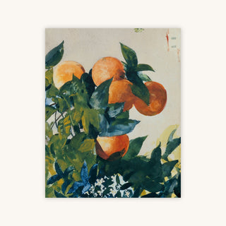 ORANGES ON A BRANCH — Primary Image