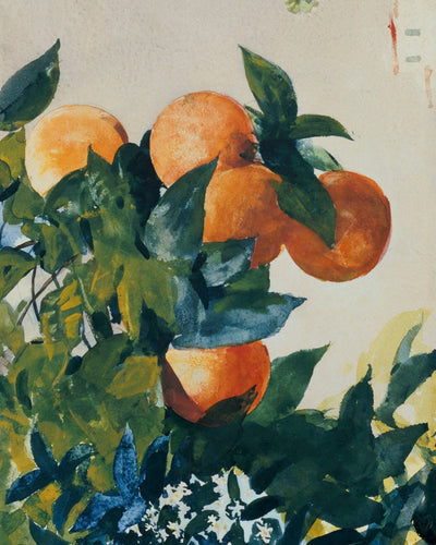 ORANGES ON A BRANCH